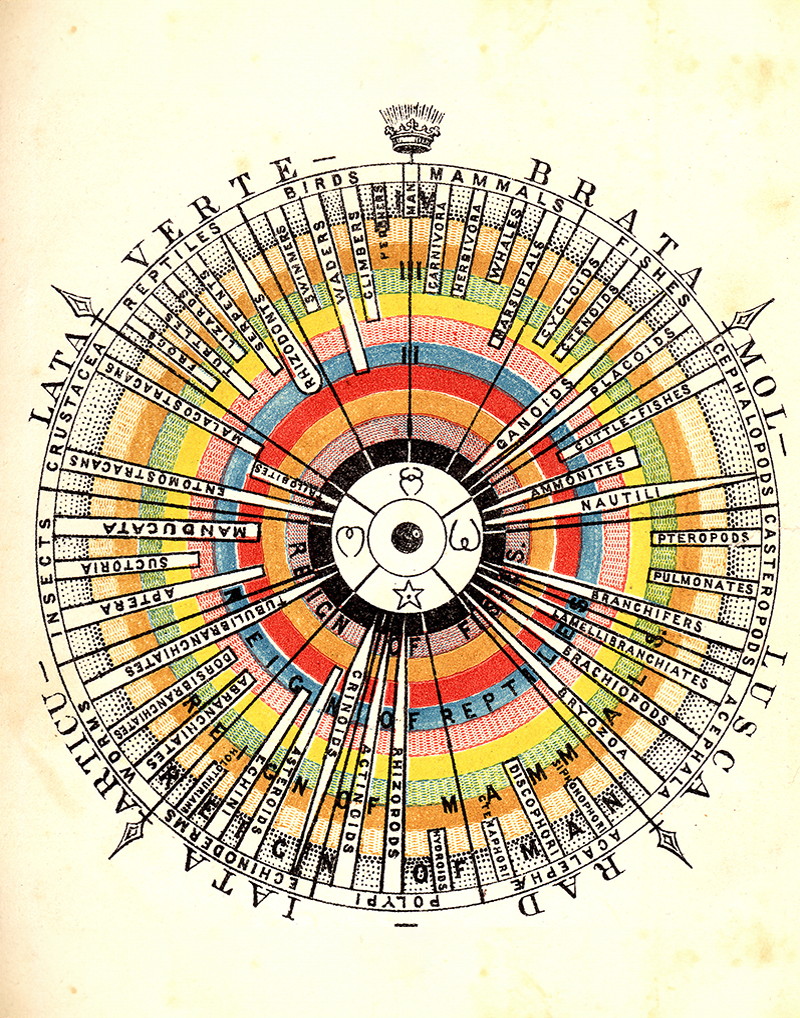 Louis Agassiz und Augustus A. Gould: Outlines of Comparative Physiology, hg. v. Thomas Wright, London 1851, Frontispiz